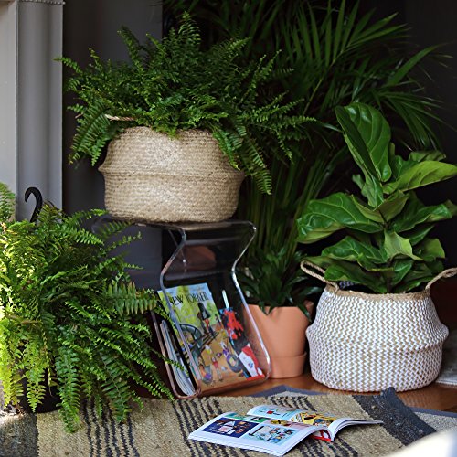 dufmod-Small-Natural-and-Plush-Woven-Seagrass-Tote-Belly-Basket-for-Storage-Laundry-Picnic-Plant-Pot-Cover-and-Beach-Bag-Plush-Zigzag-Chevron-Seagrass-White-Small