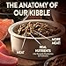 Wellness CORE Dry Dog Food, Grain Free, High Protein, Natural, Lamb Recipe, (22-Pound Bag)