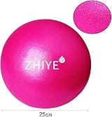 ZHIYE Mini Pilates Ball Yoga Exercise Core Fitness Bender 25cm Pink 80kg view 3