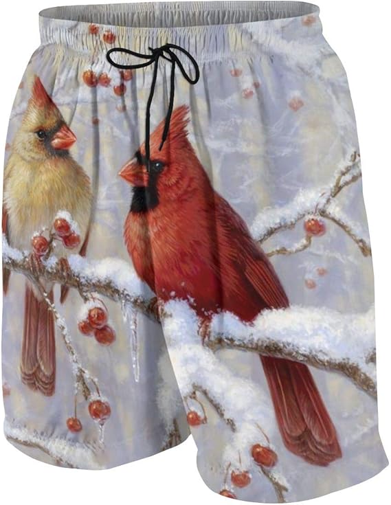 Amazon Co Jp 水着 メンズ おしゃれ サーフパンツ 冬の喜びの枢機卿 海パン 人気 スイムパンツ 短パン ビーチパンツ サーフトランクス 水陸両用 旅行 速乾 服 ファッション小物