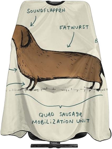 Anatomy Of A Dachshund Professional Barber Cape Salon Home Barbers