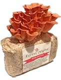 Pink Oyster Mushroom Farm - Beautiful Mushroom Growing Kit - All in One Indoor Growing Kit - Exotic Mushroom