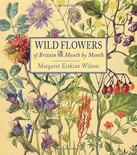 Download Wild Flowers of Britain: Month by Month PDF