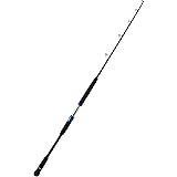 csx surf rod
