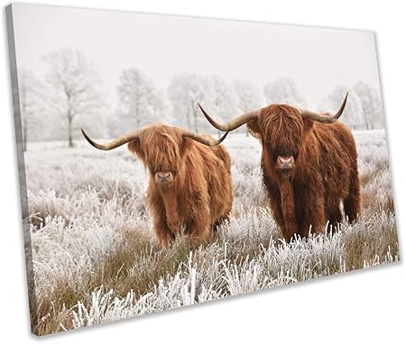 JamirtyRoy1 - Lienzo sin marco con impresión de vacas escocesas peludas