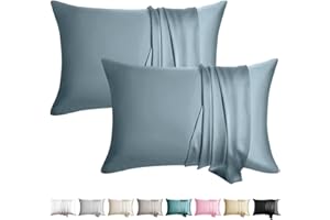 WLOSJ 100% Silk Pillowcase for Hair and Skin Toddler Size 2 Pack Mulberry Silk Pillow Case 13 x 18 Inches Highest 6A Silk Kids/Travel Pillow Cover Soft Breathable Cooling with Hidden Zipper, Grey Blue