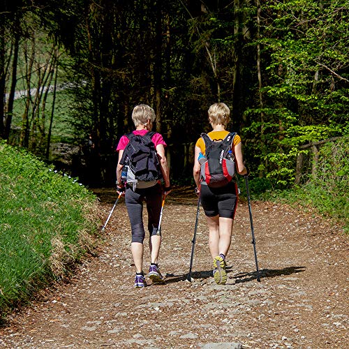 gipfelsport Nordic Walking stokken, verstelbaar, telescopische wandelstokken, stok met tas en accessoires, loopstokken… - Image 8