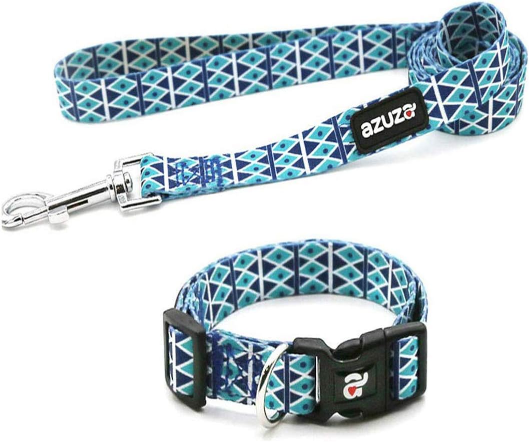 fun dog collars and leashes