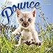 Pounce 2020 7 x 7 Inch Monthly Mini Wall Calendar, Cats Pouncing by 