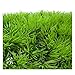 Artificial Plant - TOOGOO(R) Artificial Fake Water Aquatic Green Grass Plant Lawn Aquarium Landscape