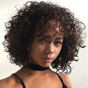Buy Brazilian Short Curly Human Hair Wigs For Black Women 100
