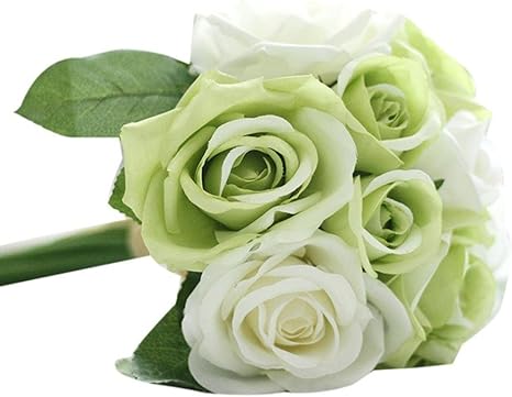 Amazon Tangqi 観葉植物 ミニ インテリア 造花 観葉植物 卓上観葉植物 かわいい お誕生日 9頭 人工シルク 偽花葉 ローズ 結婚式花の装飾花束 グリーン 造花 オンライン通販