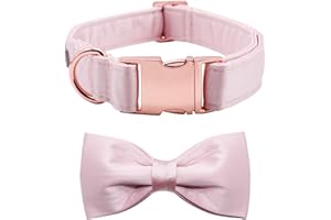 Lionet Paws Bowtie Dog Collar - Comfortable Silk Girl Dog Collar with Detachable Bow Tie for XLarge Dogs, Neck 16-26 Inches