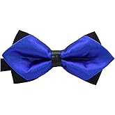 Flairs New York Gentleman's Diamond Pointed Pre-Tied Bow Tie