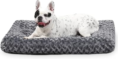 KSIIA Small Dog Bed 60x45x7 cm Calming Plush with Non Skid Bottom