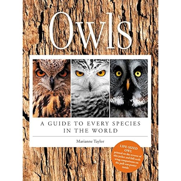 The Book of Owls: Walker, Lewis Wayne: 9780292707887: Amazon.com
