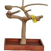 A&amp;E Cages Small Java Table Top Bird Stand 15"x10"x 15"