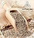 Naturevibe Botanicals Organic Cumin Seed, 2lbs (2 Packs of 1lb each) | Cuminum cyminum L. | Raw, Gluten-Free & Non-GMO | Adds Flavor and Taste.