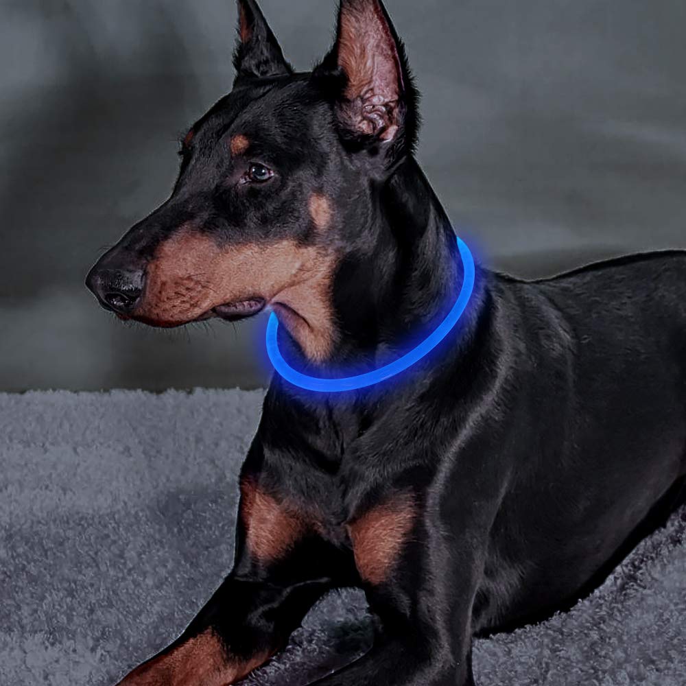 Illumifun Led Dog Collar, USB Rechargeable TPU Cuttable Light Up Collar Make Your Dogs Seen & Safe in the Dark (Royal Blue)