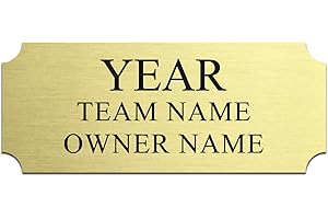 SINKAA Custom Engraved Trophy Name Plates | 2.5" x 1" Personalized Award Plates for Perpetual Trophies, Fantasy Football, Esp