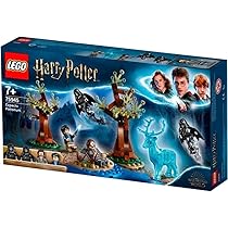 LEGO Harry Potter and the Chamber of Secrets Aragog's Lair
