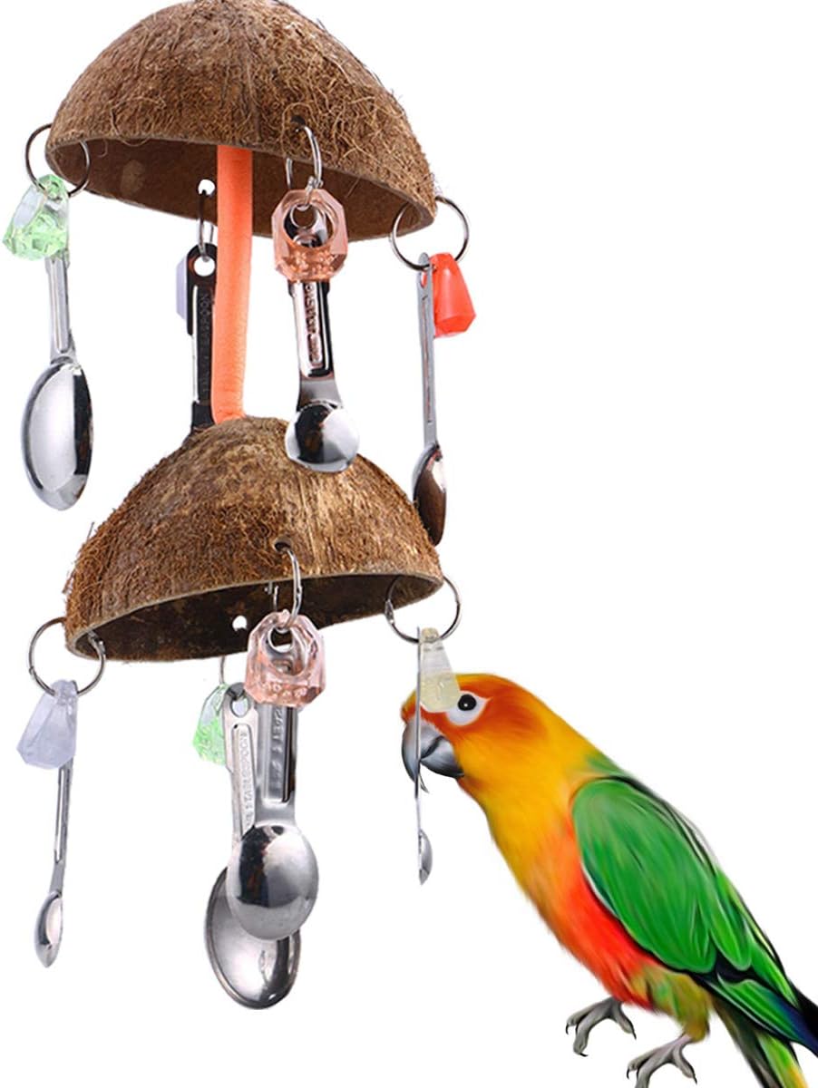 coconut bird toy