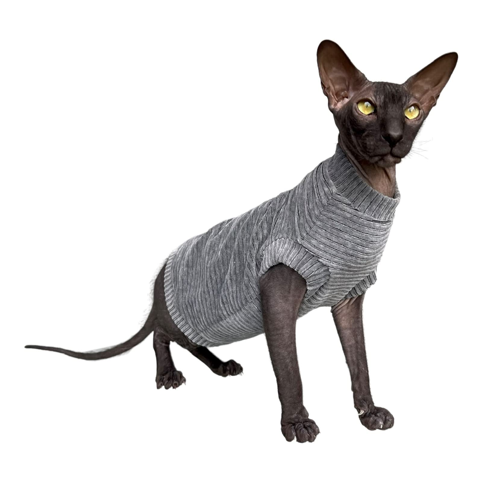 Kotomoda Cat's T-shirt Corduroy for Sphynx and naked cats (X-Small, Dark Grey) — image 1