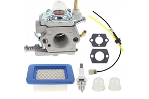 Hutdkte PB580T Carburetor for Echo PB-580t PB 580t PB-580h PB580h WTA-35 Backpack Blower A021004331 A021004330