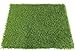 SunVilla Artificial Grass Rug Indoor Outdoor, Realistic Thick Synthetic Fake Grass Mat for Dogs, Garden Lawn Landscape Patio Grass (2 in X 3 in - Sample)