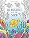 Le secret de la mer: Cherche les trésors du bateau qui a sombré. Un livre de coloriage qui promet by Alexandra Dannenmann, Angela Labbé