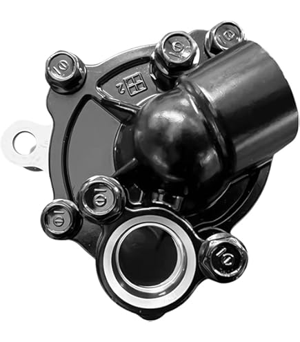 Amazon.com: Lesurey Water Pump Assembly 49044-1086 Compatible with