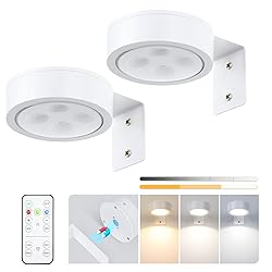 2-Pack Picture Light Battery Operated, LED Painting