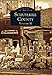 Schuylkill County: Volume II (Images of America)