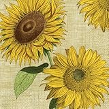 Caspari Under the Sun Paper Luncheon Napkins 10710L