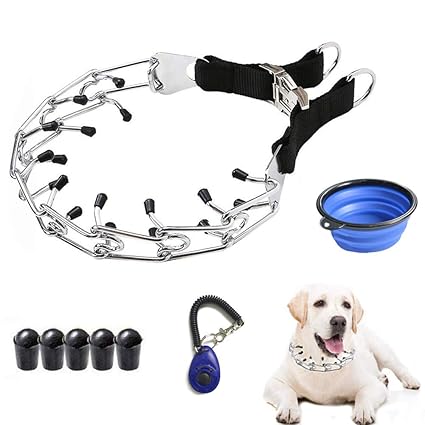 using a prong collar for corrections