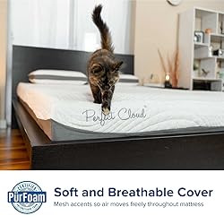Perfect Cloud Basics Plush Gel-Infused 8-inch