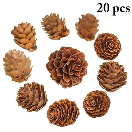 Outgeek 20PCS Pine Cone Decorative Wooden Natural Pinecone Christmas Ornament