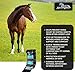 Kensington Horse Fly Boots with Comfortable Fleece Trim, Stay-Up Technology with Velcro Straps, Sold in Pairs of 2 (Black Ice Plaid)