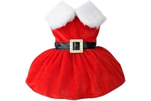 QIDELONG Dog Christmas Costume Puppy Dress, Santa Claus Pet Clothes Velvet Skirt Thermal Shirt Winter Coat Xmas Holiday Apparel Cute Girl Clothing Red Dresses, Dog Outfit for Small Medium Dogs Cats (S, Red)