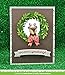 LAWN FAWN Cuts Custom Craft Dies: Large Wreath (LF1497)