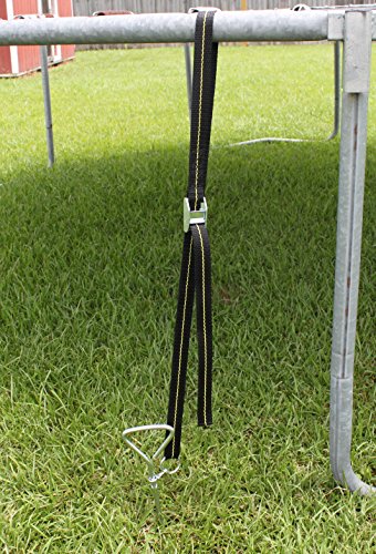 2 Trampoline+Anchor+Kit+System+Ground