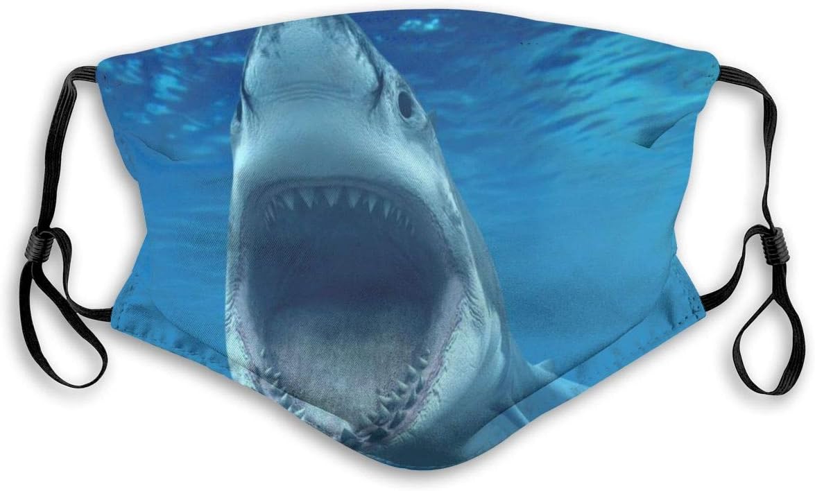 Bargburm Anti Dust Face Cover with Replaceable Filter Sunflower Nose Mouth Cover,Dustproof Reusable Mouth Cover for Adult Kid