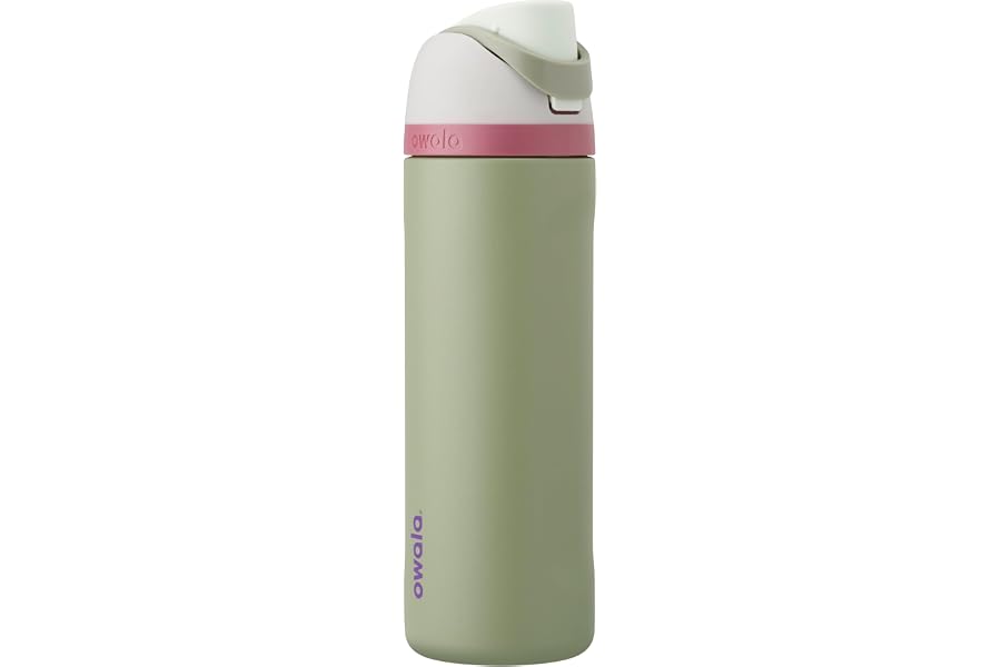 Owala FreeSip Stainless Steel Water Bottle 24 oz Grey/Green (Neo Sage)