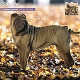 Shar Pei 2015 Wall Calendar