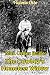 Mail Order Bride: The Cowboy's Homeless Widow (A Clean Historical Western Romance) by