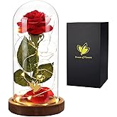 Valentines Day Gifts for Her Beauty and The Beast Rose,Red Rose in Glass Dome with 2 Lights Modes, Valentines Flower Gifts for Women Mom Wife Girlfriend on Valentines Anniversary,Birthday,Wedding