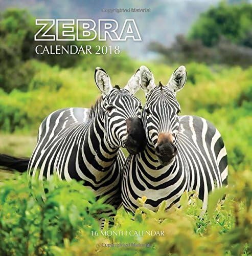 Zebra Calendar 2018: 16 Month Calendar