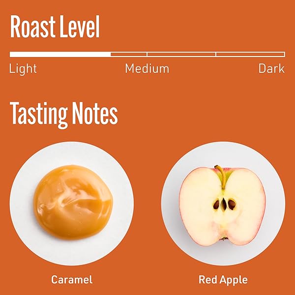 INTELLIGENTSIA COFFEE, LIGHT ROAST GROUND COFFEE – HOUSE BLEND 12 OUNCE BAG