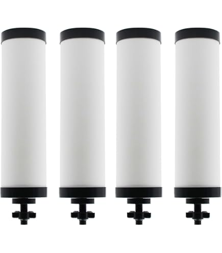 HUI NING 10-inch Ceramic Water Filter Candle With Activated Carbon - Replacement For Gravity Countertop Systems, DIY Bucket Filters