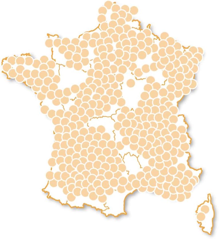 Wonderbox Coffret Cadeau Anniversaire Joyeux Anniversaire Petillant 7800 Degustations Soins Activites De Loisirs Amazon Fr Hygiasne Et Soins Du Corps